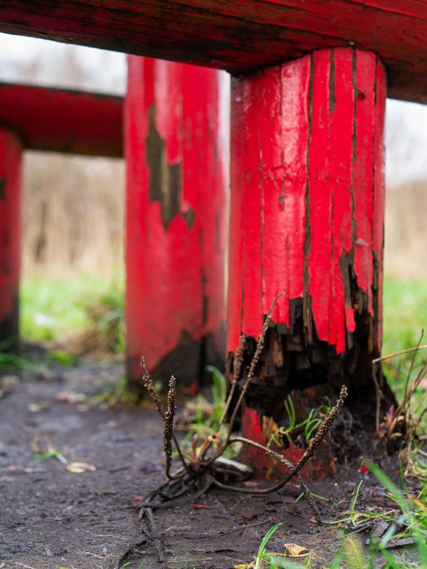 Rotten Column Replacement