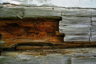 Rotten Column Deterioration